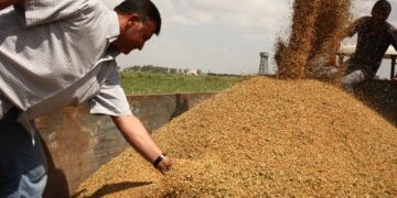 التموين: احتياطي القمح يكفي 6 أشهر.. واحتياجنا السنوي يصل لـ21 مليون طن| فيديو