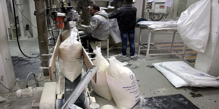 مطاحن شمال القاهرة تقترح توزيع كوبون نقدي على المساهمين عن الأرباح السنوية