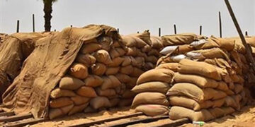 التموين تعلن ارتفاع مخزون احتياطي القمح الاستراتيجي بالصوامع