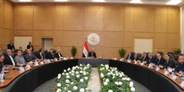 عصمت: الدولة عازمة على التصدى لظاهرة سرقة التيار الكهربائي