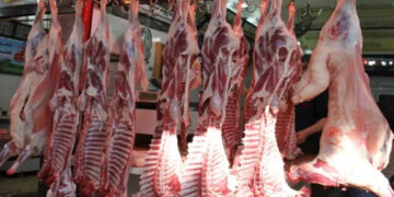 أسعار اللحوم الحمراء اليوم الأحد
