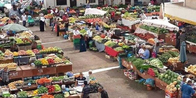 خصم هائل على عملاق شاومي 14 Ultra Titanium