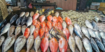 أسعار الأسماك في سوق العبور اليوم الأحد