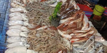 أسعار الأسماك في سوق العبور اليوم الأحد