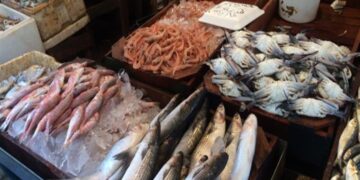 أسعار الأسماك في سوق العبور اليوم السبت