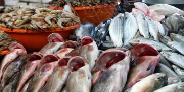 أسعار الأسماك في سوق العبور اليوم الجمعة