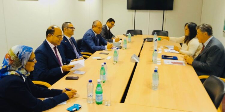 وزير الاستثمار يلتقى رئيس وكالة التجارة الخارجية البلجيكية لبحث سبل تعزيز العلاقات التجارية والاستثمارية بين البلدين
