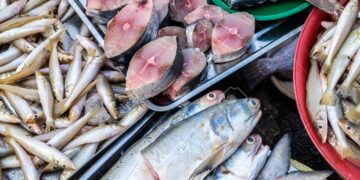 أسعار الأسماك والجمبري في سوق العبور اليوم الخميس
