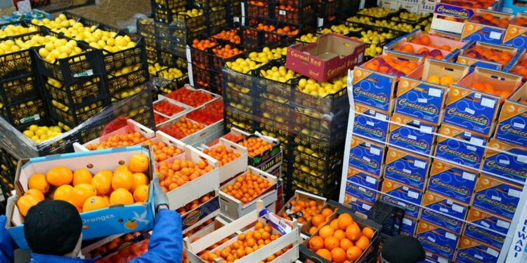 وزير الزراعة يعلن 7.1مليون طن صادرات مصر الزراعية