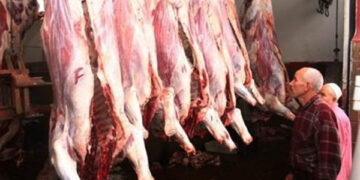 أسعار اللحوم الحمراء اليوم الأحد