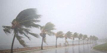 أمطار ورياح وبرودة.. الأرصاد تحذر من طقس الغد