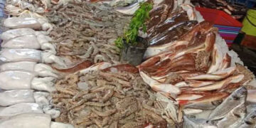 أسعار الأسماك في سوق العبور اليوم الجمعة