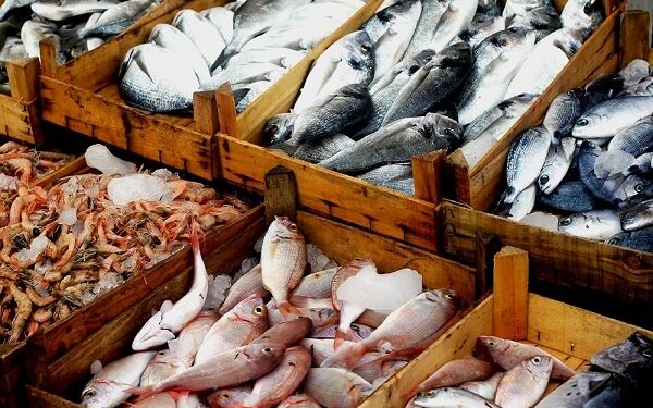 أسعار الأسماك في سوق العبور اليوم الجمعة