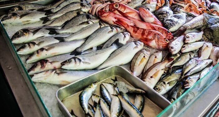 أسعار الأسماك في سوق العبور اليوم السبت