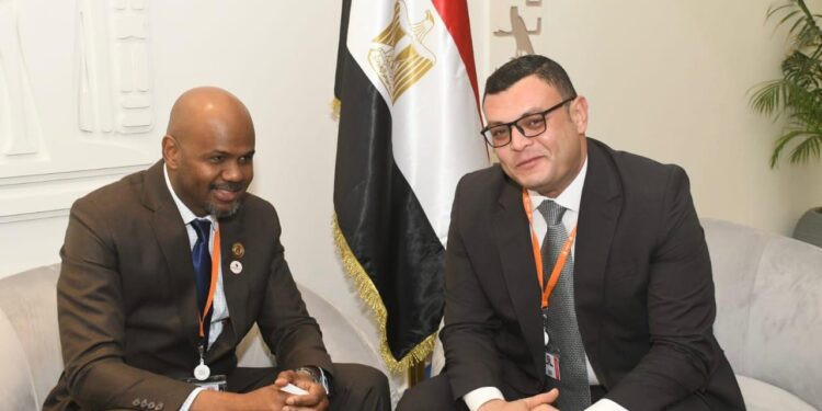 وزير الإسكان يلتقى مدير مؤسسة “Shelter AFRIQUE” التابعة لبنك التنمية الأفريقي لبحث سبل تعزيز التعاون المشترك