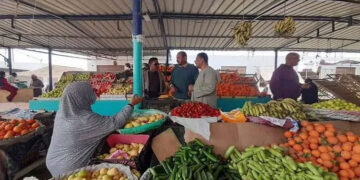 أسعار الخضار والفاكهة اليوم الخميس