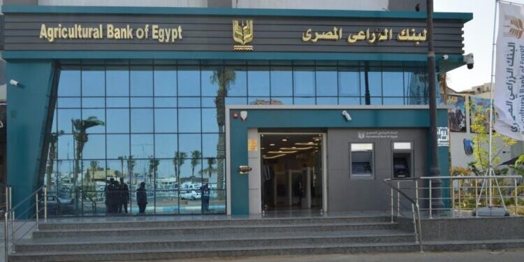 ننشرحصاد 2024.. البنك الزراعي المصري يواصل مسيرة النجاح ويحقق مؤشرات أداء قوية