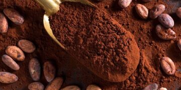 ارتفاع أسعار الكاكاو لـ10 آلاف دولار للطن