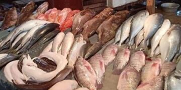 أسعار الأسماك في سوق العبور اليوم السبت