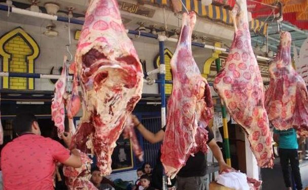 أسعار اللحوم اليوم في الأسواق