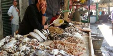 أسعار الأسماك في سوق العبور اليوم السبت