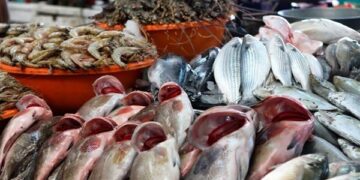 أسعار الأسماك في سوق العبور اليوم الثلاثاء