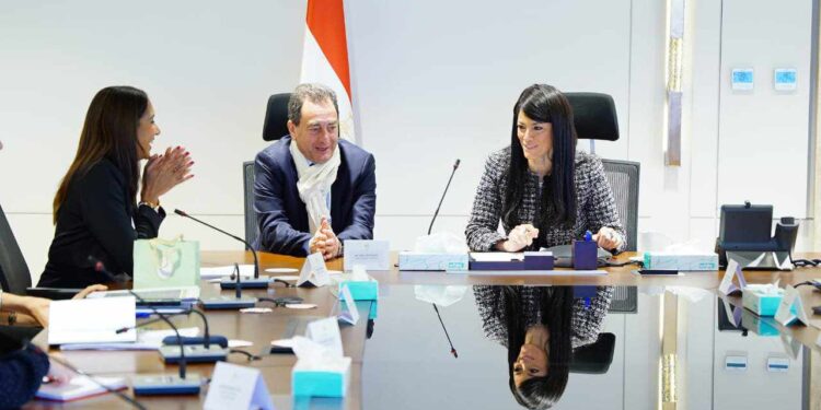 المشاط تناقش مع السفير الفرنسي السفير الفرنسي ملفات الشراكة الاقتصادية الجارية بين البلدين