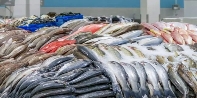 أسعار الأسماك في سوق العبور اليوم الإثنين