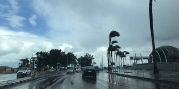 الشبورة مستمرة.. الأرصاد تكشف حالة الطقس غدا