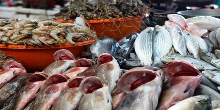 أسعار الأسماك في سوق العبور اليوم الأحد