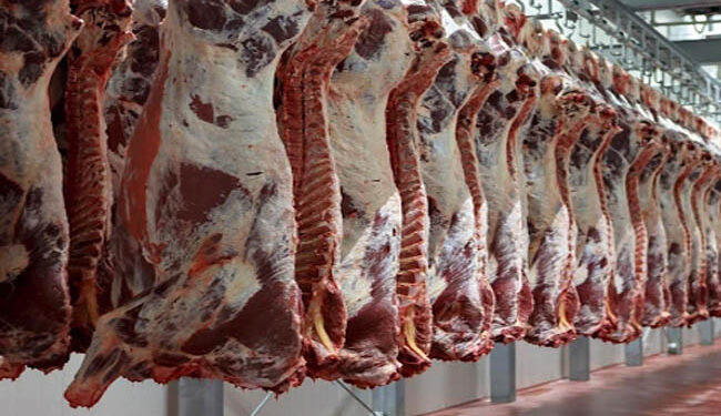 أسعار اللحوم الحمراء اليوم الأحد