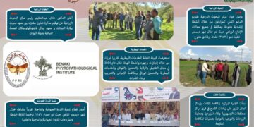 بالانفوجراف والفيديو.. حصاد وزارة الزراعة في أسبوع