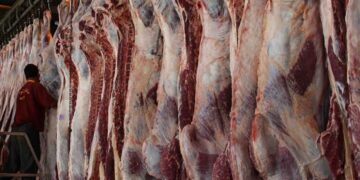 أسعار اللحوم الحمراء اليوم السبت