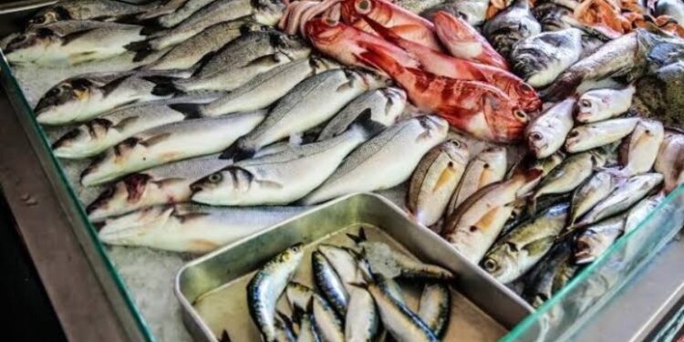 أسعار الأسماك في سوق العبور اليوم الإثنين