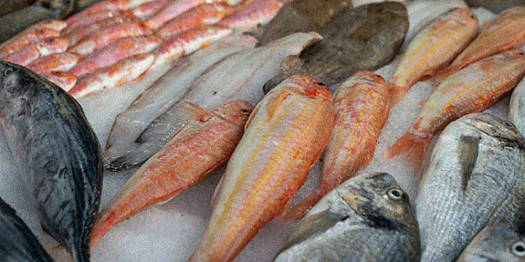 أسعار الأسماك في سوق العبور اليوم الأحد
