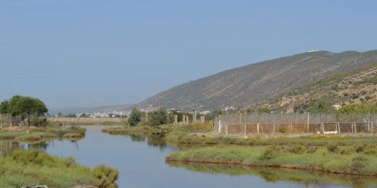 الجفاف يدق ناقوس الخطر في لبنان بسبب تغير المناخ