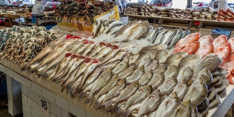 أسعار الأسماك في سوق العبور اليوم الخميس