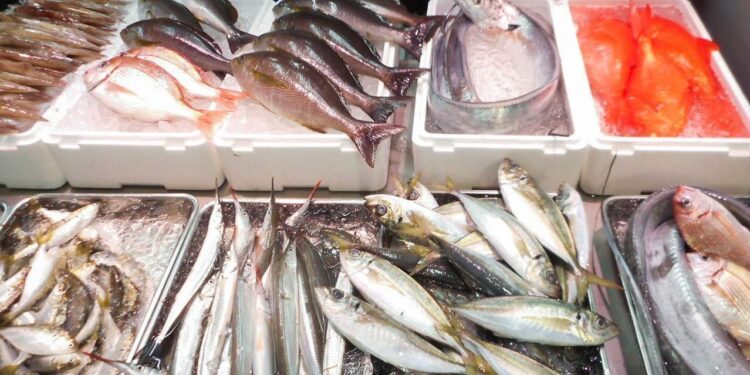 أسعار الأسماك في سوق العبور اليوم الإثنين