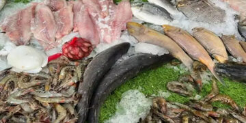 أسعار الأسماك في سوق العبور اليوم الأحد