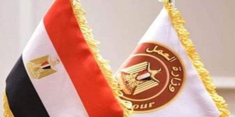 وزارة العمل تعلن عن وظائف خالية بمرتبات تصل إلى 9400 جنيه