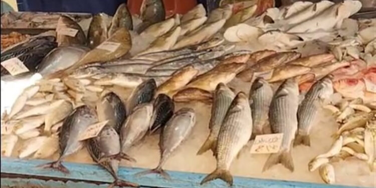 أسعار الأسماك في الأسواق اليوم الأحد