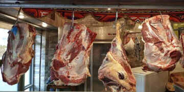 أسعار اللحوم الحمراء اليوم الثلاثاء