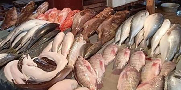 أسعار الأسماك في سوق العبور اليوم السبت