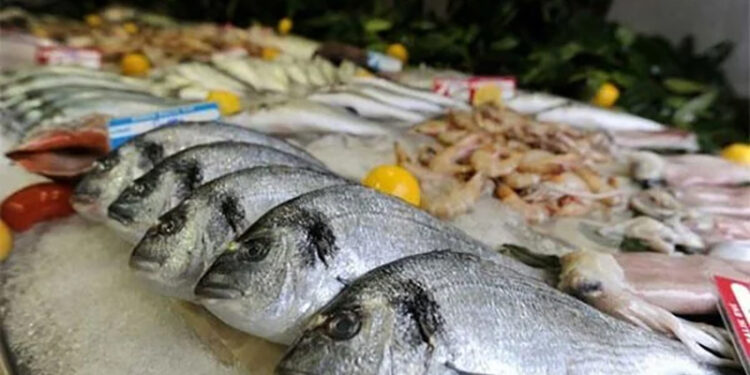 أسعار الأسماك في سوق العبور اليوم الثلاثاء