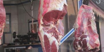 أسعار اللحوم الحمراء اليوم السبت