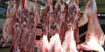 أسعار اللحوم الحمراء اليوم الأربعاء