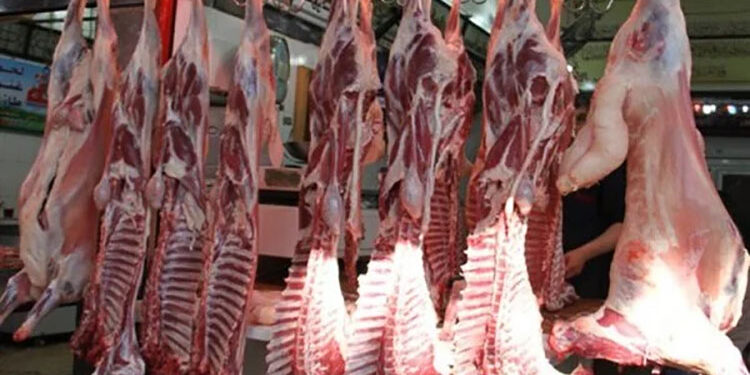 أسعار اللحوم الحمراء اليوم الأربعاء