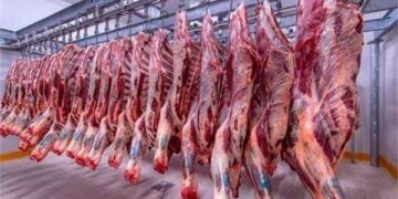 أسعار اللحوم الحمراء اليوم الأربعاء