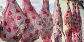 أسعار اللحوم الحمراء اليوم الإثنين