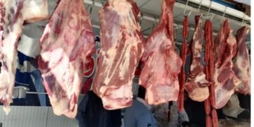 أسعار اللحوم الحمراء اليوم الخميس